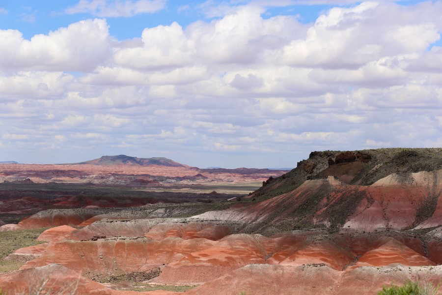 Petrified Forest 13